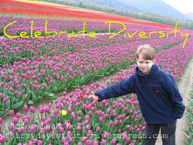 Celebrate Diversity- tulips