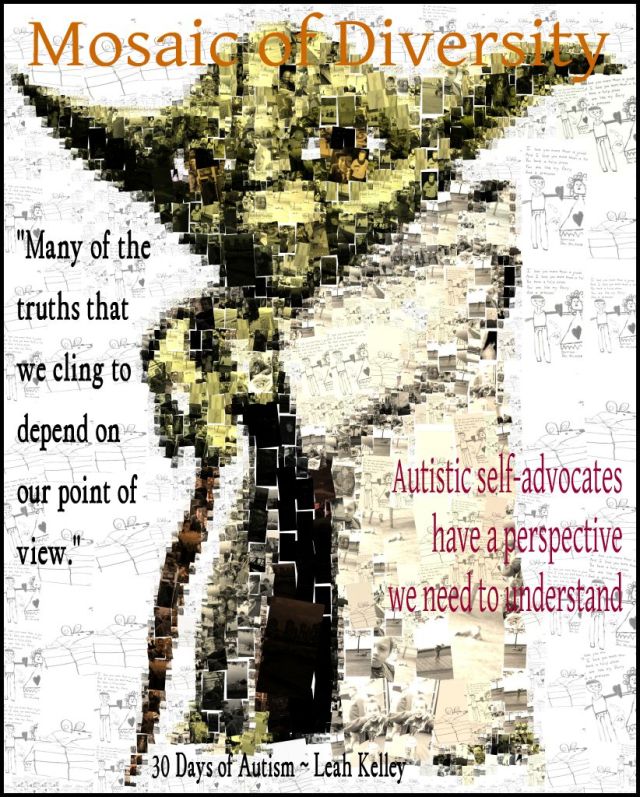 Yoda4MosaicofDiversity