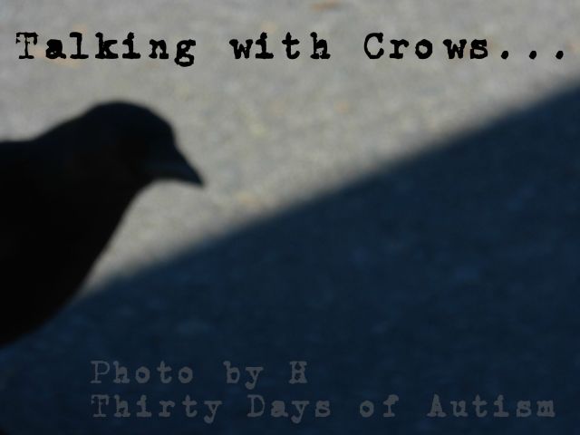 "Talking with Crows" by H: Photo 1 of 8